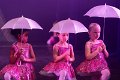 Mini Stars Circus 2A  111